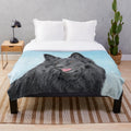 Belgian Sheepdog portrait art featured on a cozy plush blanket