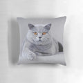 A cozy pillow featuring a detailed portrait of a beautiful British Shorthair cat.