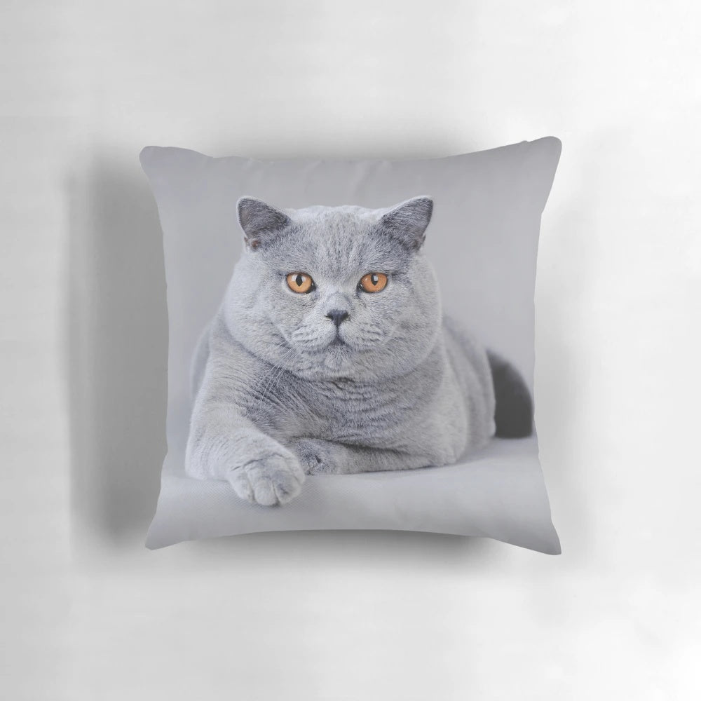 A cozy pillow featuring a detailed portrait of a beautiful British Shorthair cat.
