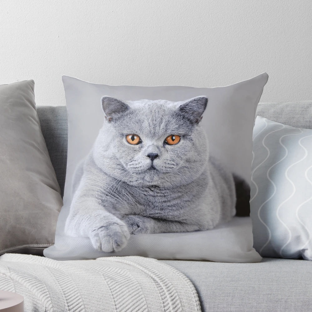 A cozy pillow featuring a detailed portrait of a beautiful British Shorthair cat.