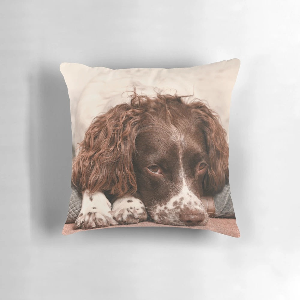 Plush pillow featuring an adorable English Springer Spaniel dog breed