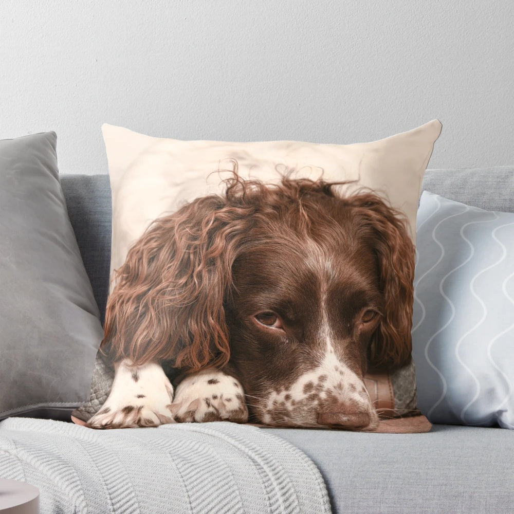 Plush pillow featuring an adorable English Springer Spaniel dog breed