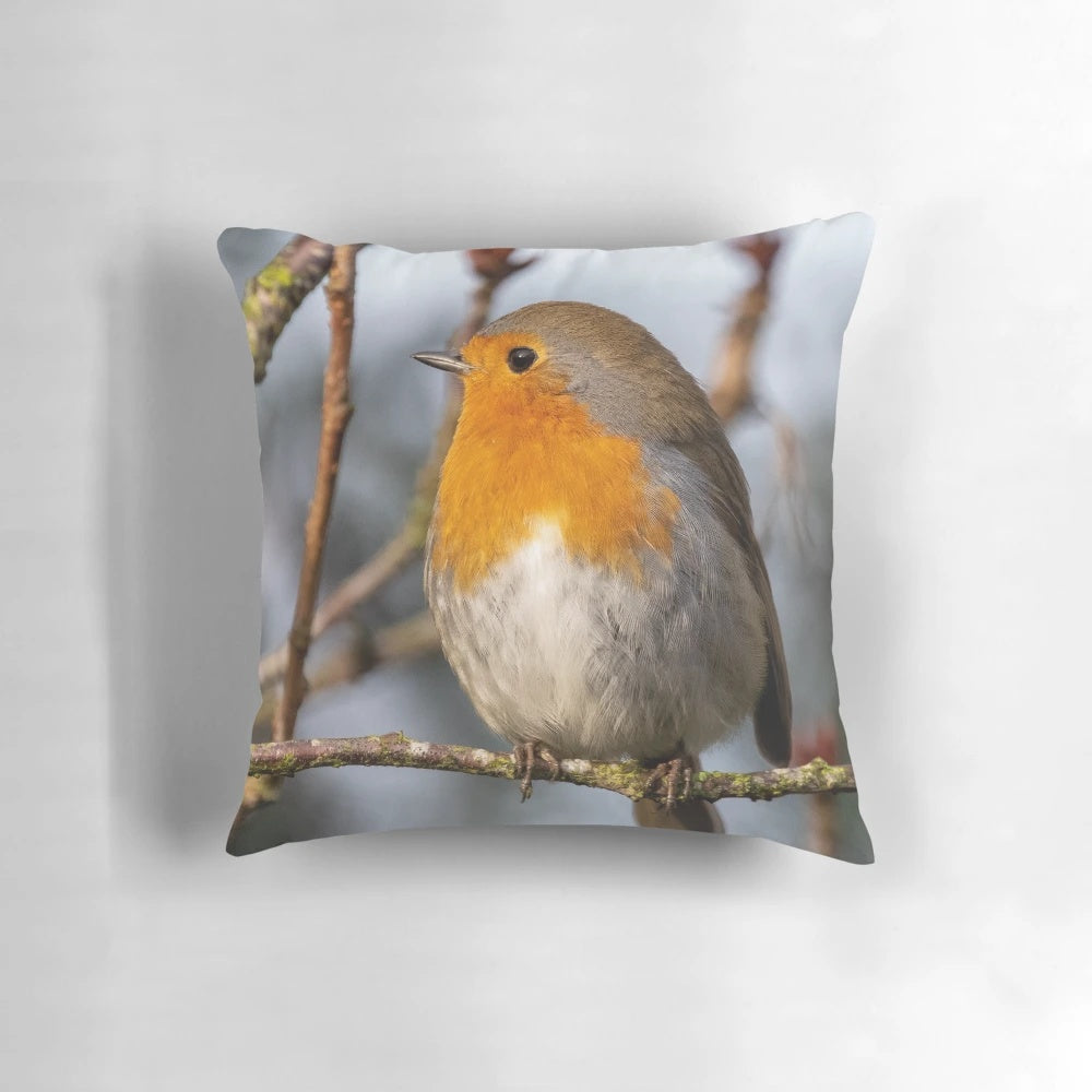 A beautifully photographed image of a robin redbreast perched on a tree branch.