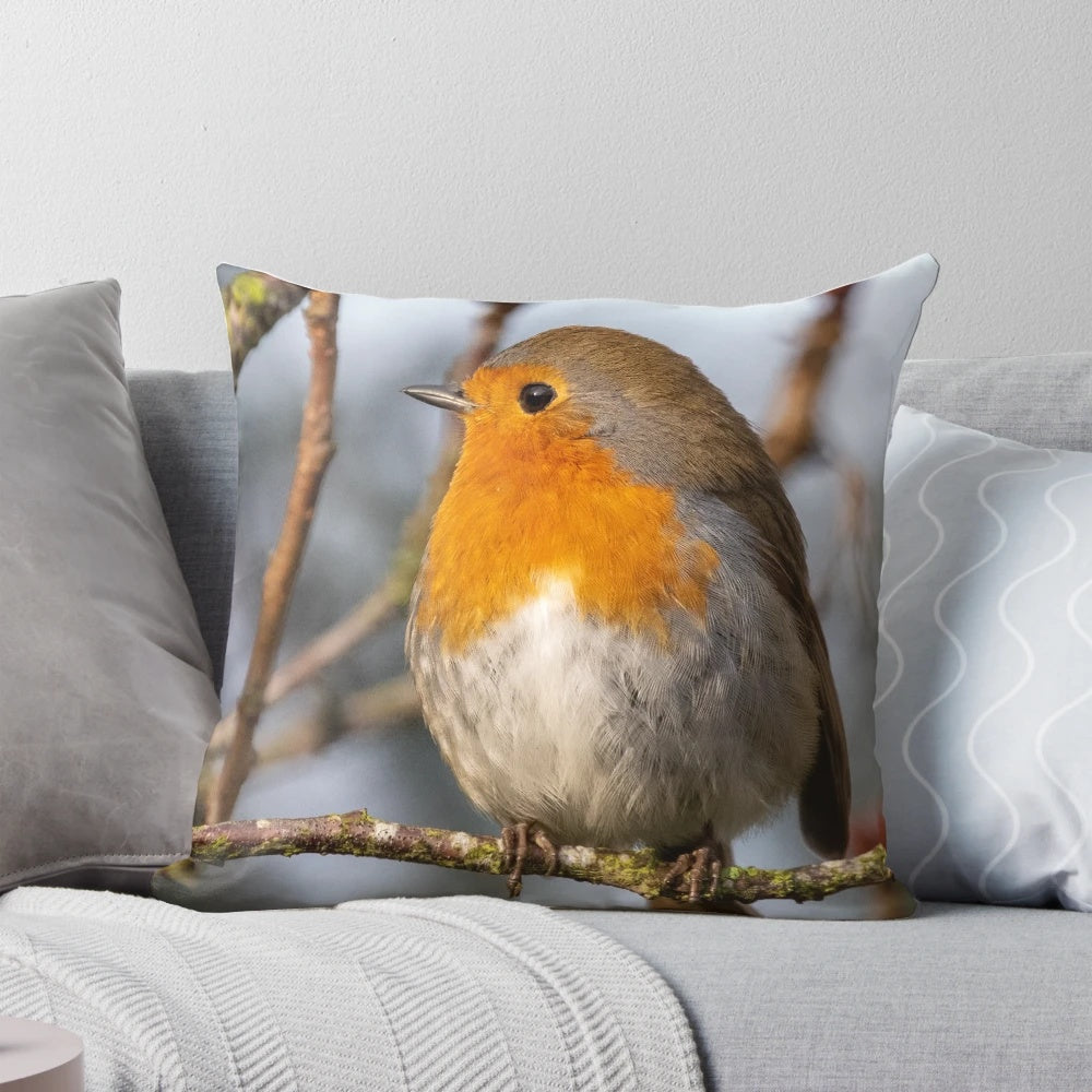 A beautifully photographed image of a robin redbreast perched on a tree branch.
