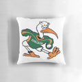 Miami Hurricanes themed pillow featuring the team mascot, Sebastian the Ibis