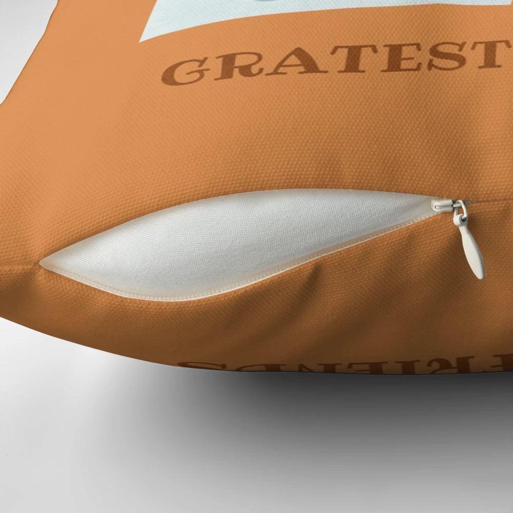 Cheesy Friendship Plush Pillow with a grater design, a playful cheese pun gift for friends and family