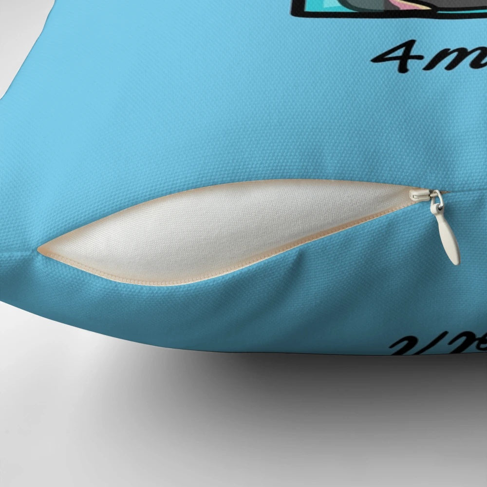Pillow featuring a chemistry joke about moles per litre