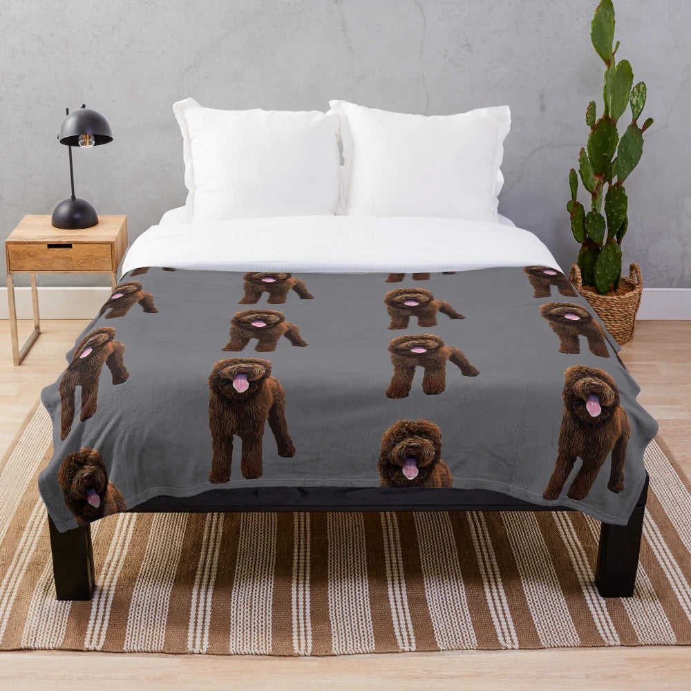 Chocolate brown plush labradoodle blanket