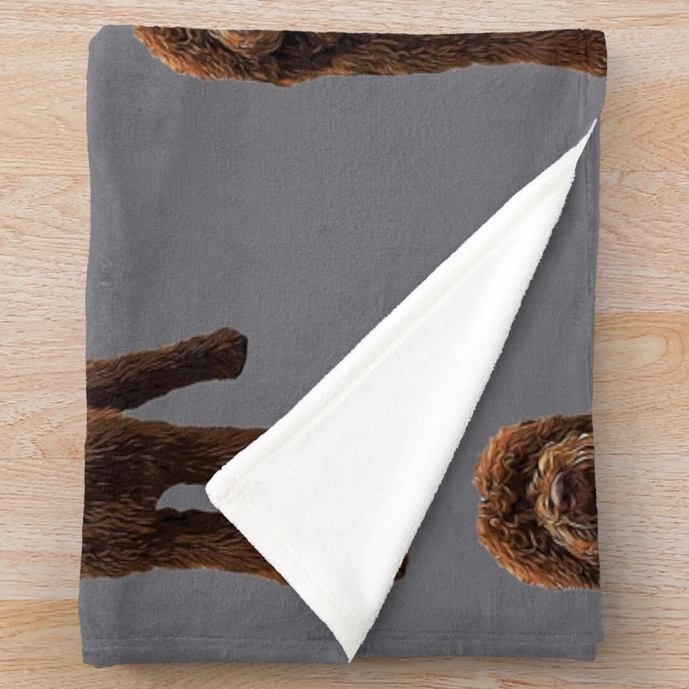 Chocolate brown plush labradoodle blanket