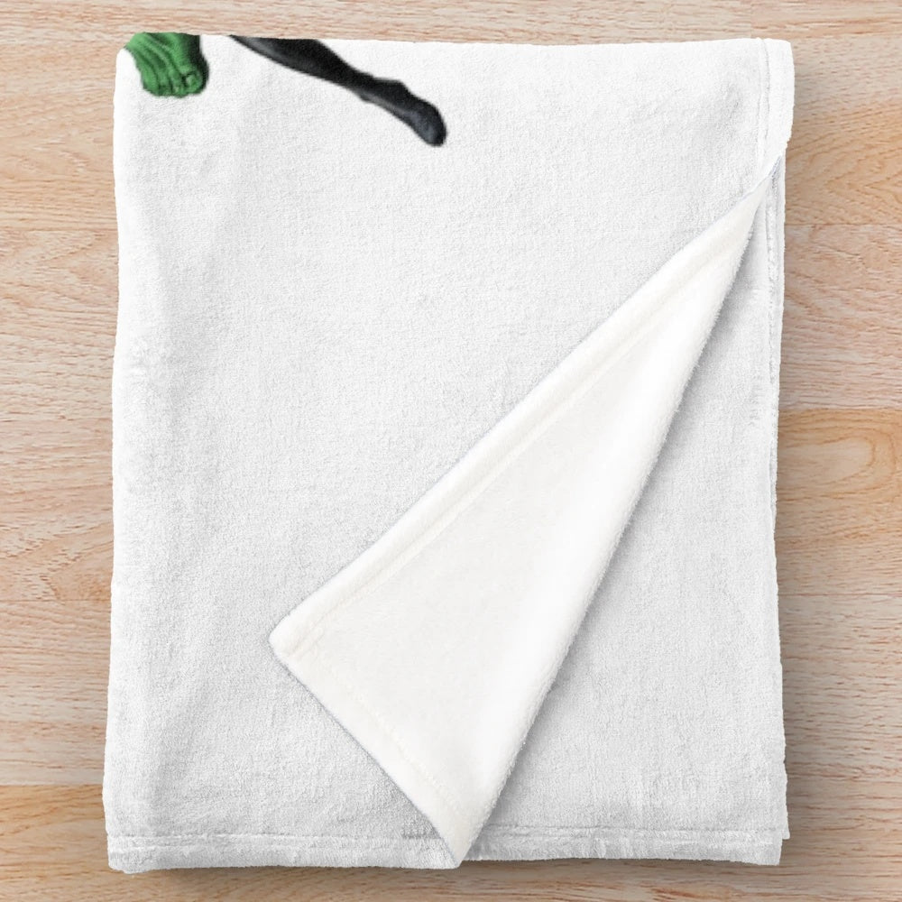 Cinematic Heroes Plush Blanket featuring popular movie characters