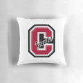 Soft and plush pillow featuring the Colgate University logo and colors