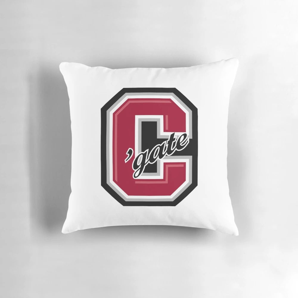 Soft and plush pillow featuring the Colgate University logo and colors