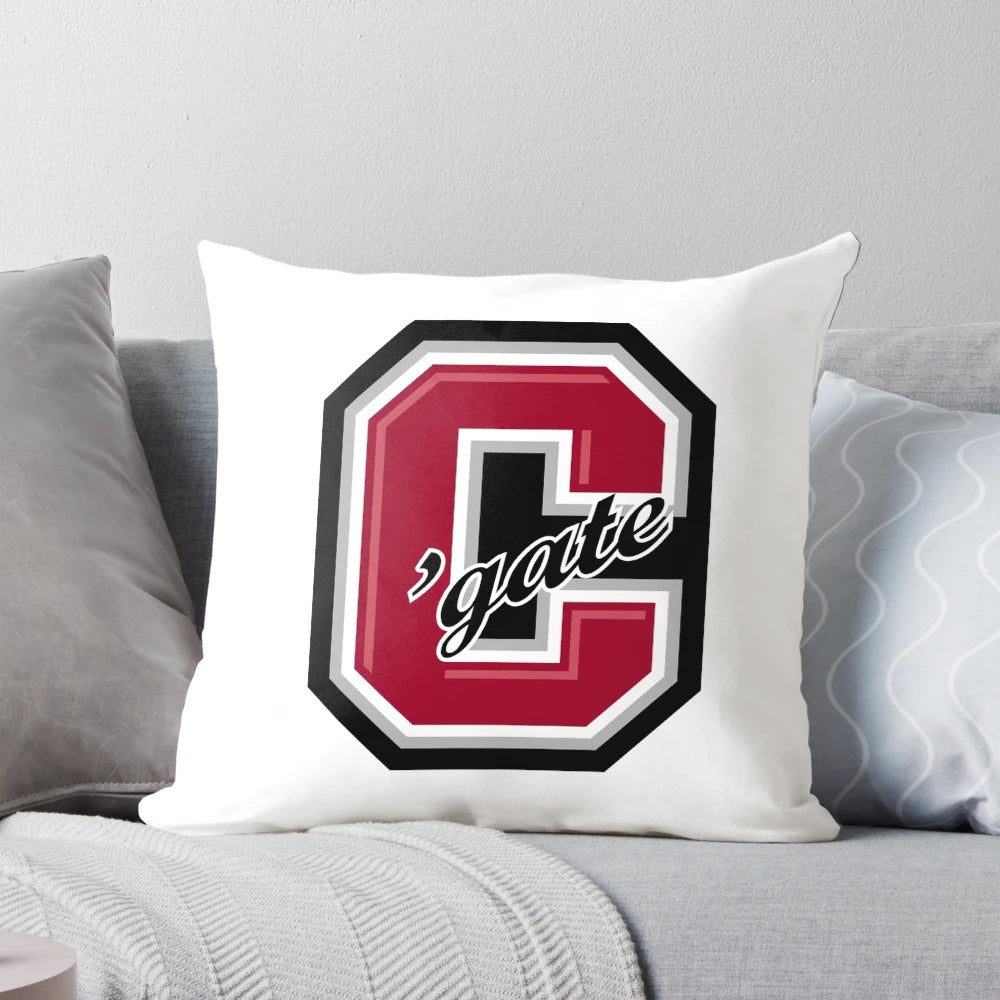 Soft and plush pillow featuring the Colgate University logo and colors