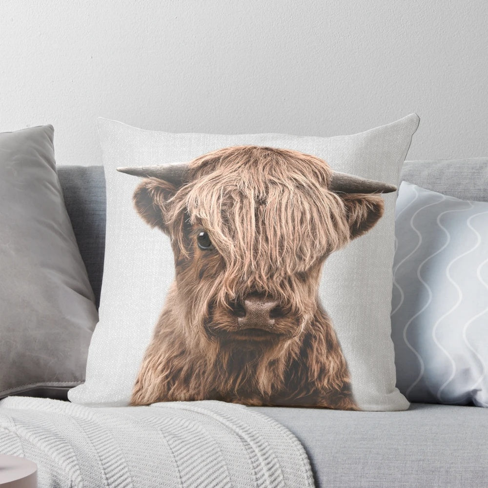 Colorful and modern pillow featuring a portrait of a cute highland calf