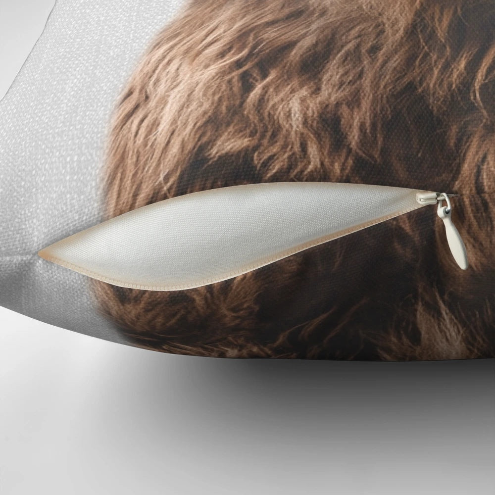 Colorful and modern pillow featuring a portrait of a cute highland calf
