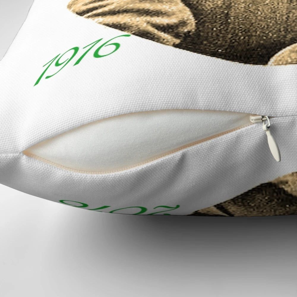 Commemorative pillow featuring Michael Collins, an Irish revolutionary leader who died in 1922