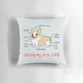 Soft, fluffy corgi pillow with an illustration of a pembroke welsh corgi's anatomy
