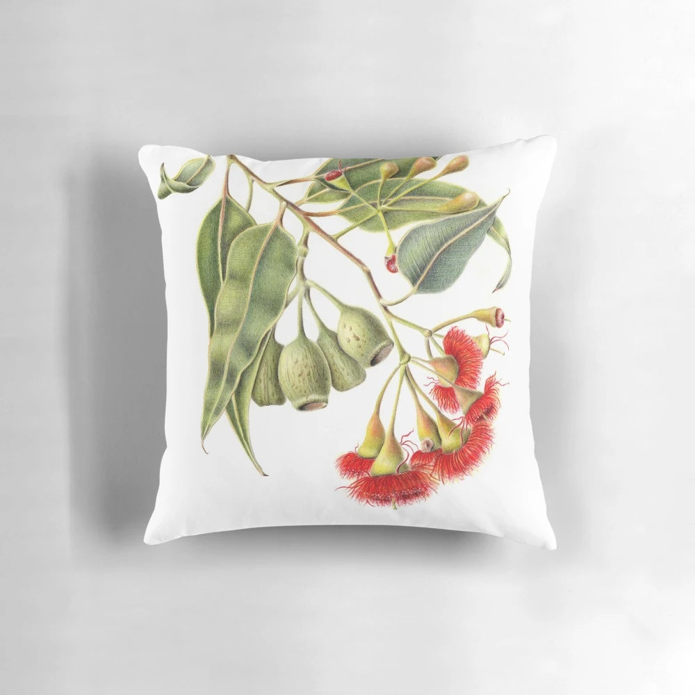 Corymbia ficifolia, the red flowering gum tree, in full bloom on a decorative pillow
