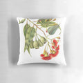 Corymbia ficifolia, the red flowering gum tree, in full bloom on a decorative pillow