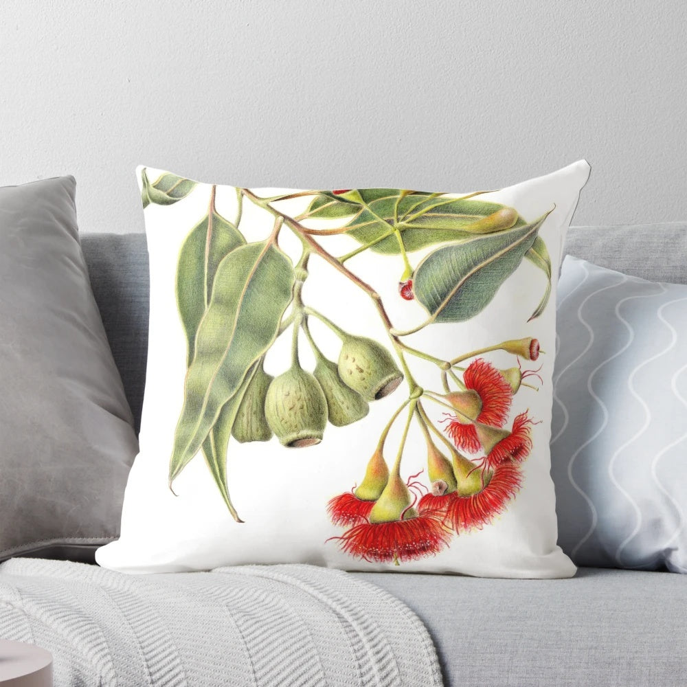 Corymbia ficifolia, the red flowering gum tree, in full bloom on a decorative pillow