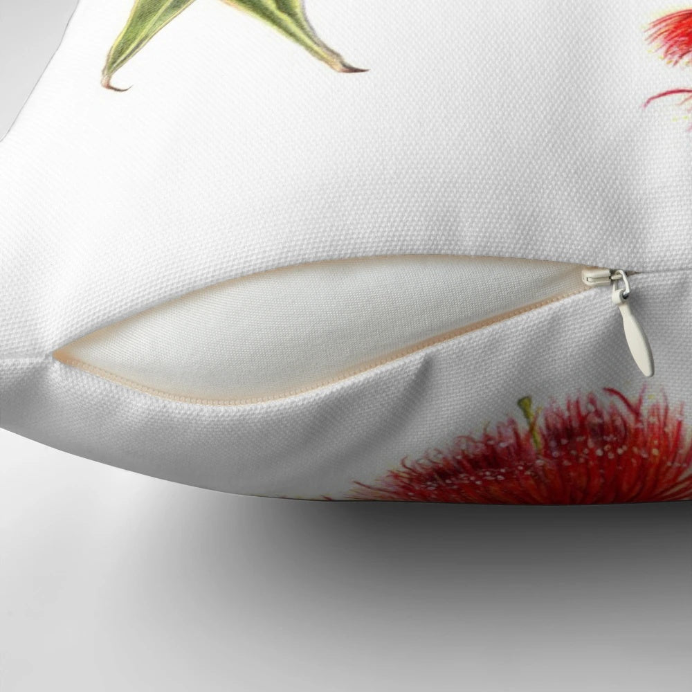 Corymbia ficifolia, the red flowering gum tree, in full bloom on a decorative pillow