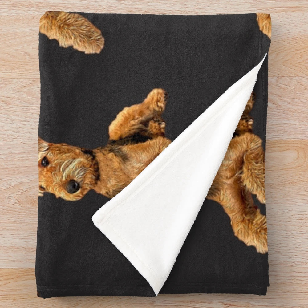 Airedale Terrier dog illustration on a plush blanket