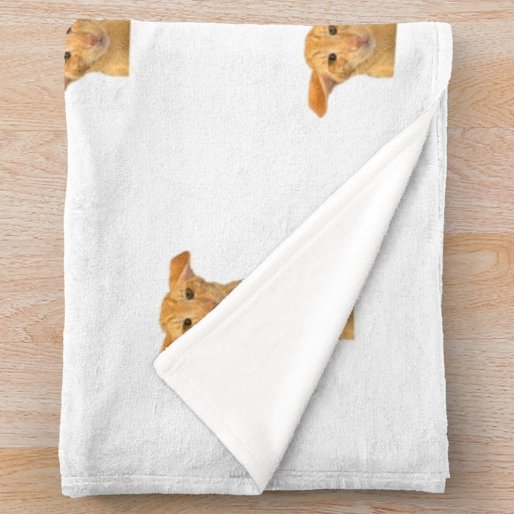 Cute oriental shorthair cat wrapped in an airplane-themed plush blanket
