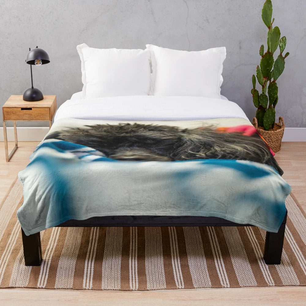 Plush blanket for pets and home decor