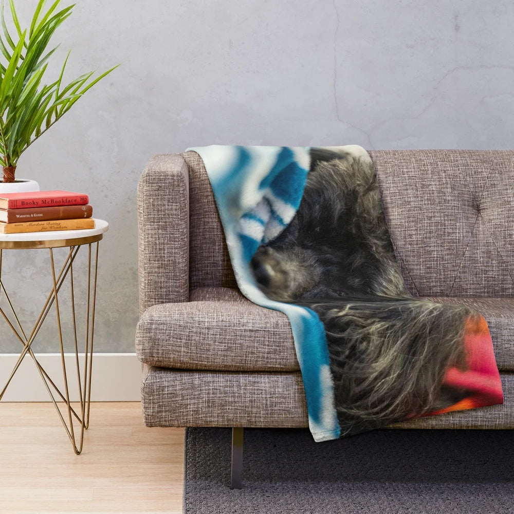 Plush blanket for pets and home decor