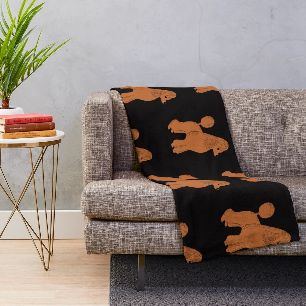 Apricot poodle on a black plush blanket