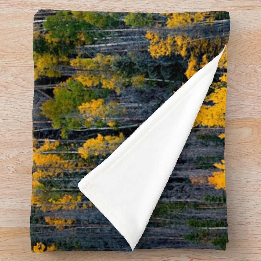 Plush blanket with vibrant aspen trees in fall landscape