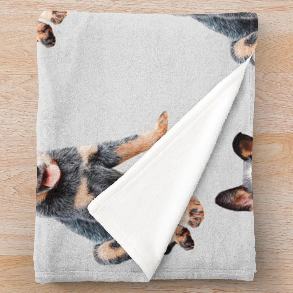 Adorable Australian Cattle Dog Blue Heeler Puppy on Plush Blanket