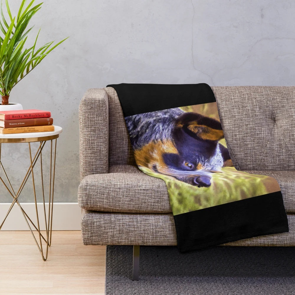 Australian Cattle Dog portrait printed on a soft, plush blanket