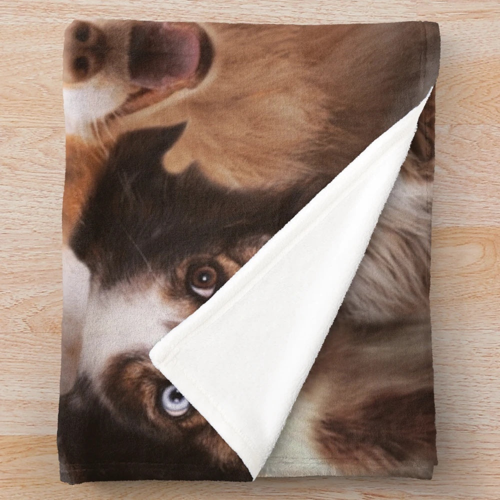 A cozy plush blanket featuring the beautiful and intelligent Australian Shepherd dog breed