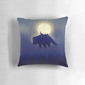 Pillow featuring a night sky scene from the popular anime series Avatar: The Last Airbender