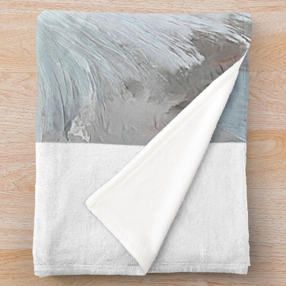Soft, plush ballet-themed blanket for a romantic, shabby chic home decor