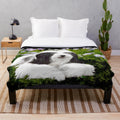 Bearded Collie Plush Blanket for Cozy Pet Snuggles