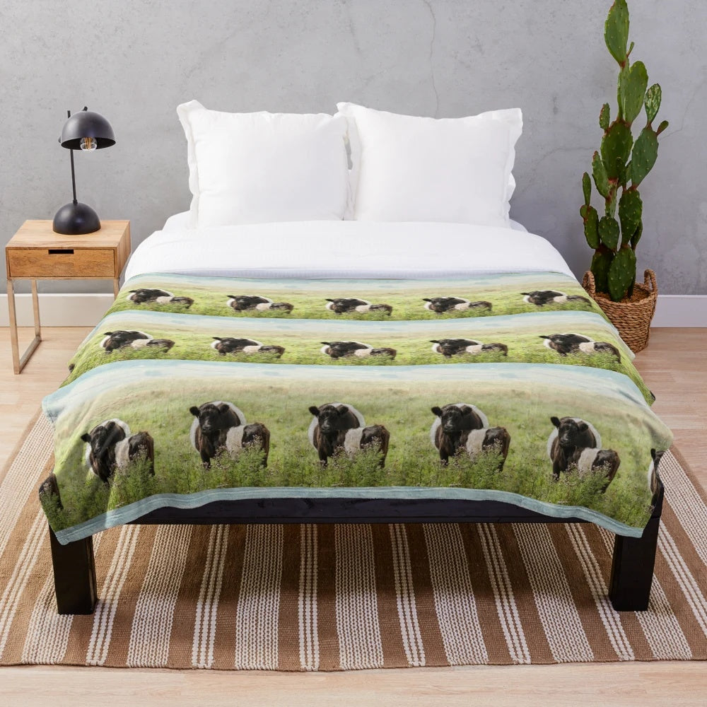 Belted Galloway cow and calf on a soft plush blanket