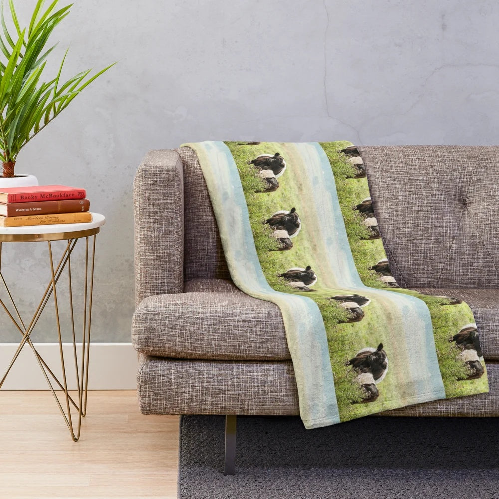 Belted Galloway cow and calf on a soft plush blanket