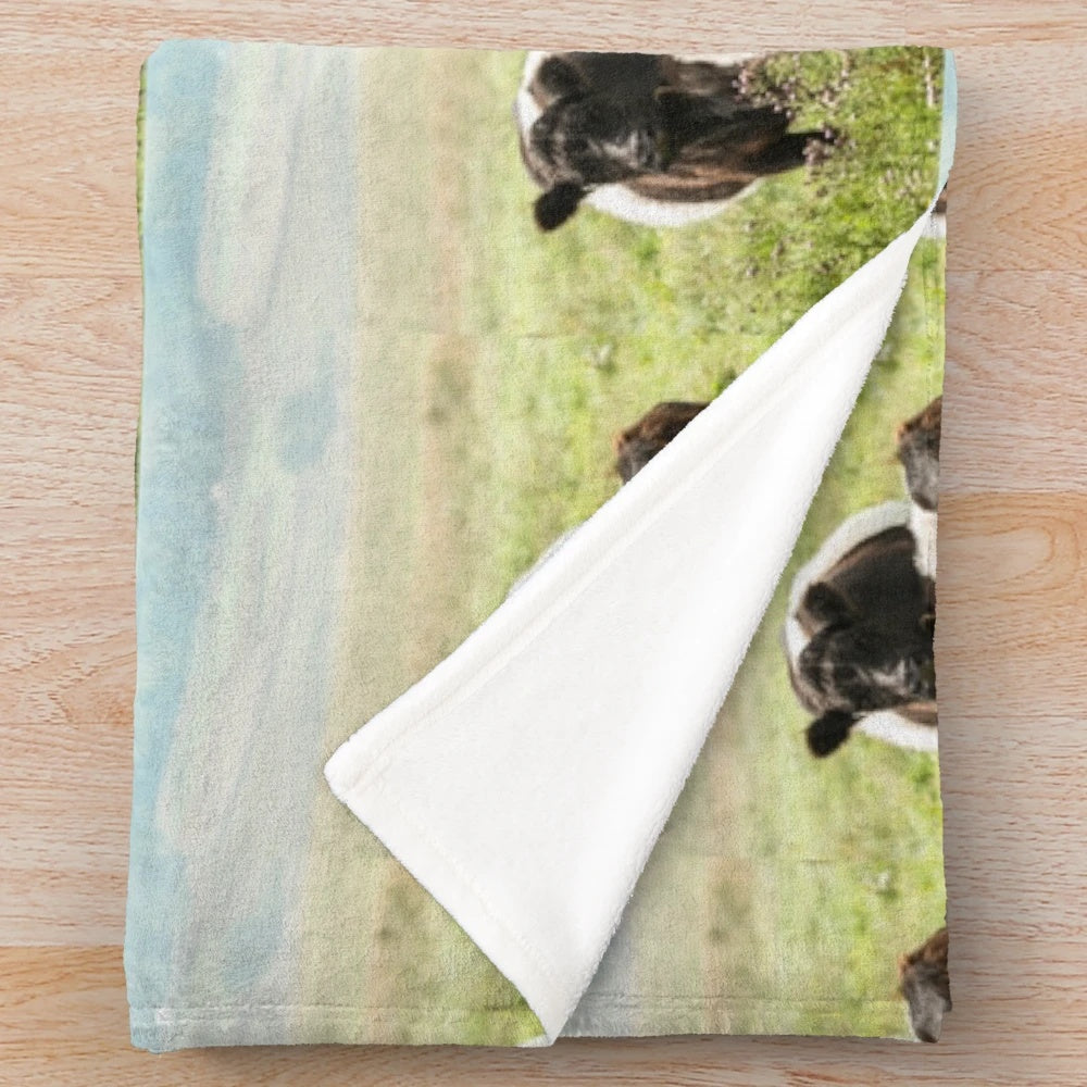 Belted Galloway cow and calf on a soft plush blanket