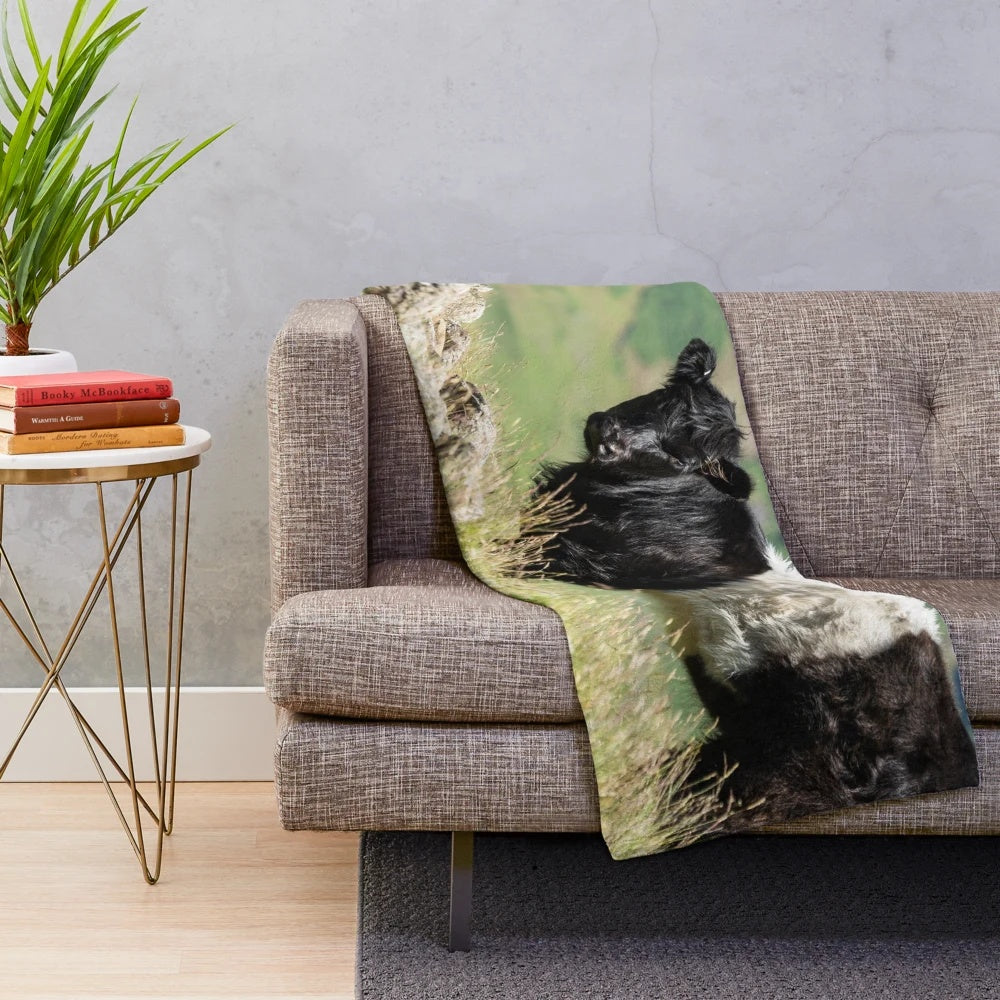 Soft and Snuggly Belted Galloway Cow Plush Blanket