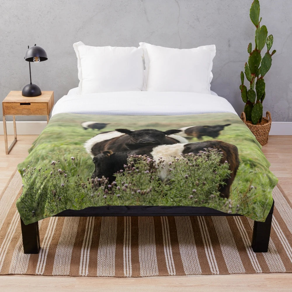 Belted Galloway cows plush blanket featuring a rustic farm animal design