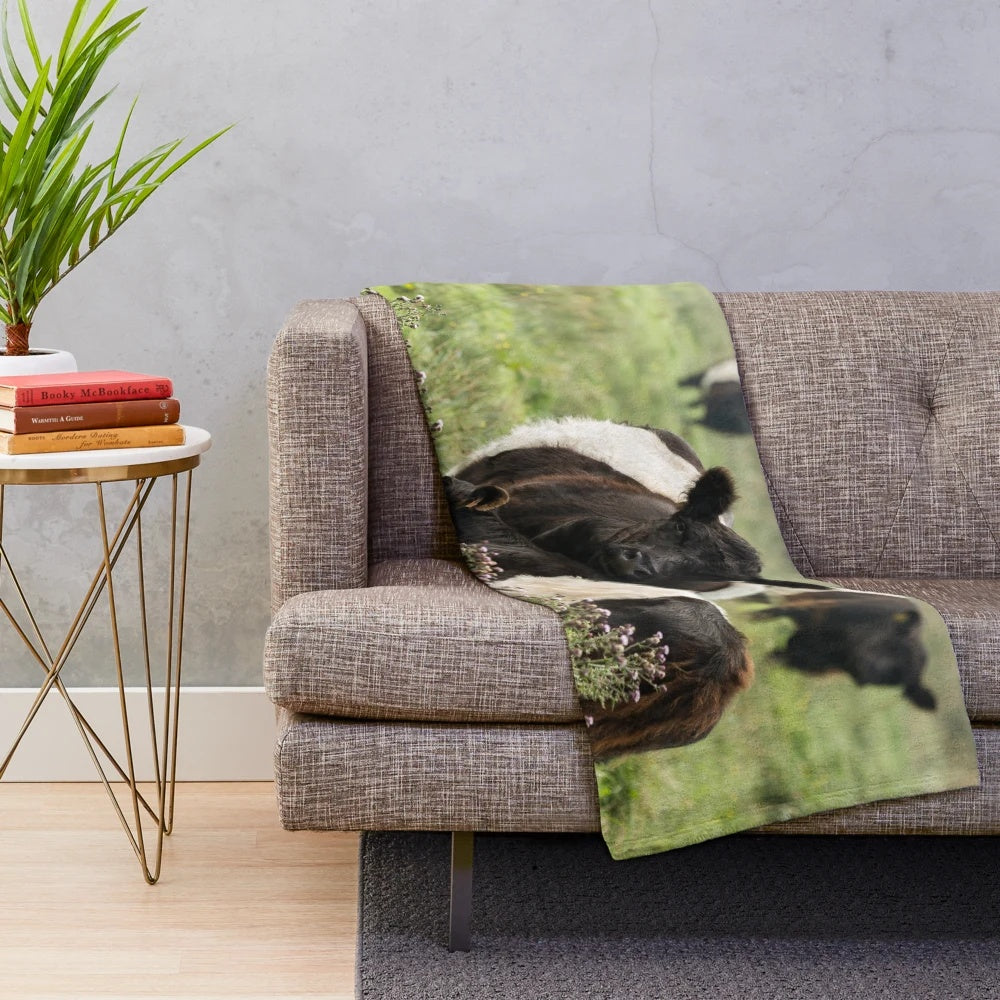 Belted Galloway cows plush blanket featuring a rustic farm animal design