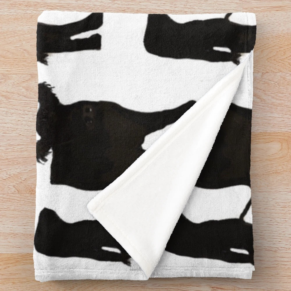 Belted Galloway cow plush blanket with soft, cozy texture