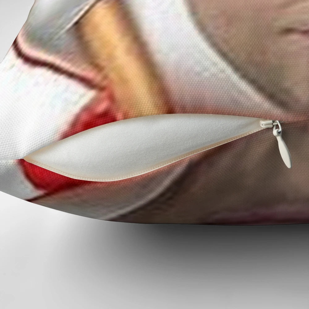 Ben Shapiro Hamburger Helper Pillow, a humorous and comfortable home accessory