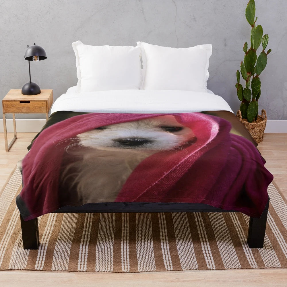 Soft and cuddly bichon plush blanket with a sweet pet portrait
