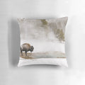 Photograph of a bison herd in the snowy landscape of Yellowstone National Park