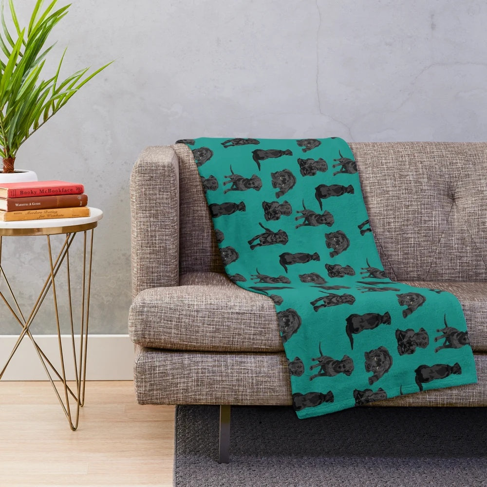 Black labrador retriever dog on a soft, plush blanket