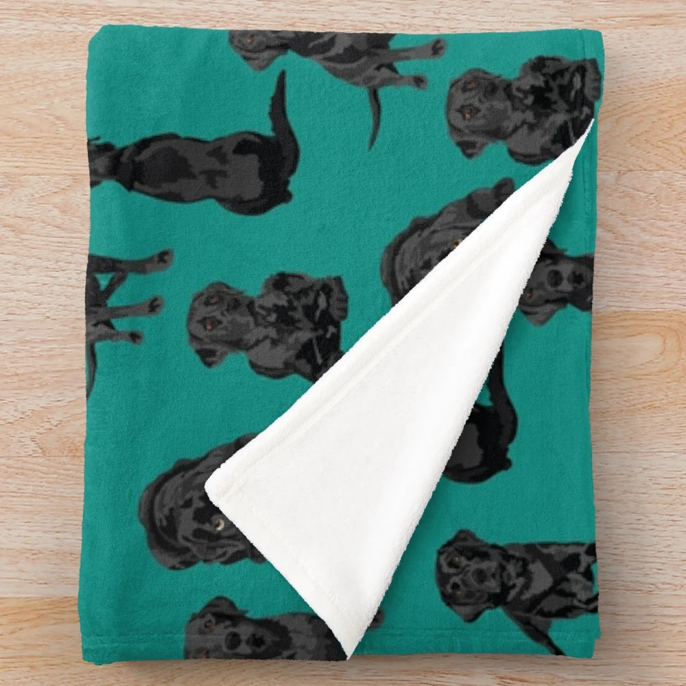 Black labrador retriever dog on a soft, plush blanket