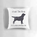Soft, plush throw pillow featuring a black labrador retriever design